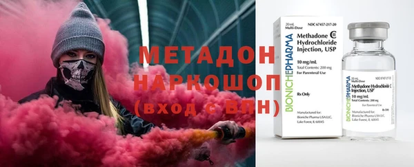 прущие грибы Магас