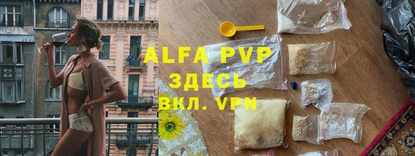 прущие грибы Магас