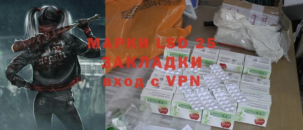 прущие грибы Магас