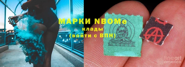 прущие грибы Магас
