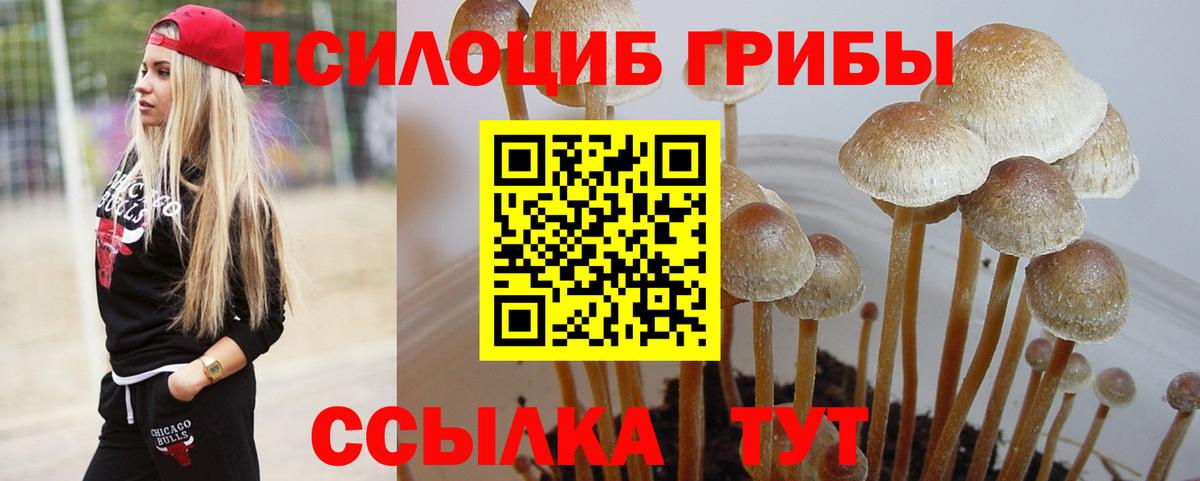 Псилоцибиновые грибы прущие грибы Мегион