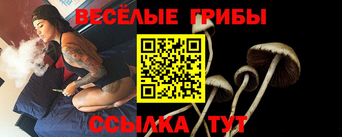 Псилоцибиновые грибы мицелий  Галлюциногенные грибы мицелий  Вход с VPN  Мегион 